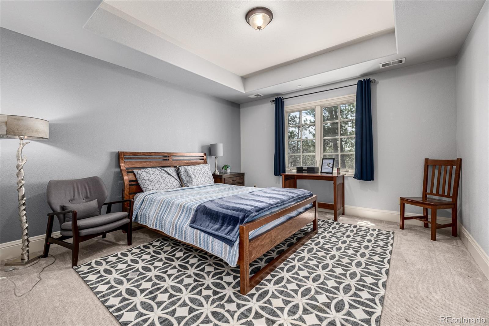 MLS Image #29 for 648  ruby trust drive,castle rock, Colorado