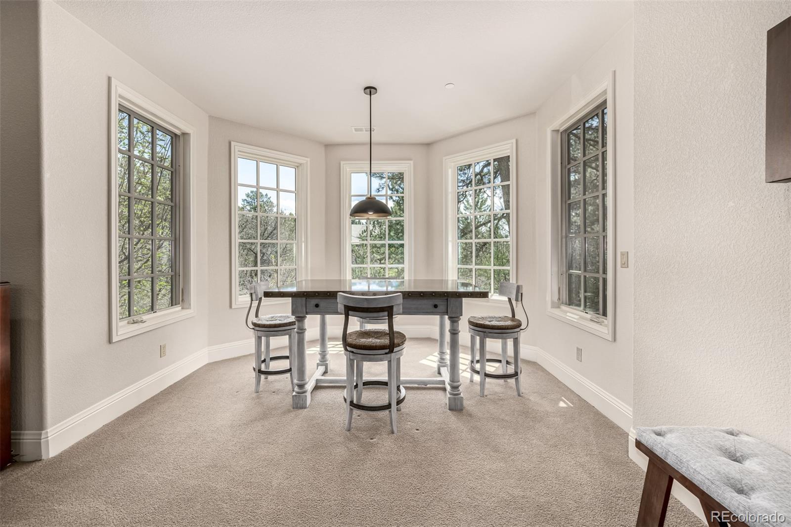 MLS Image #34 for 648  ruby trust drive,castle rock, Colorado