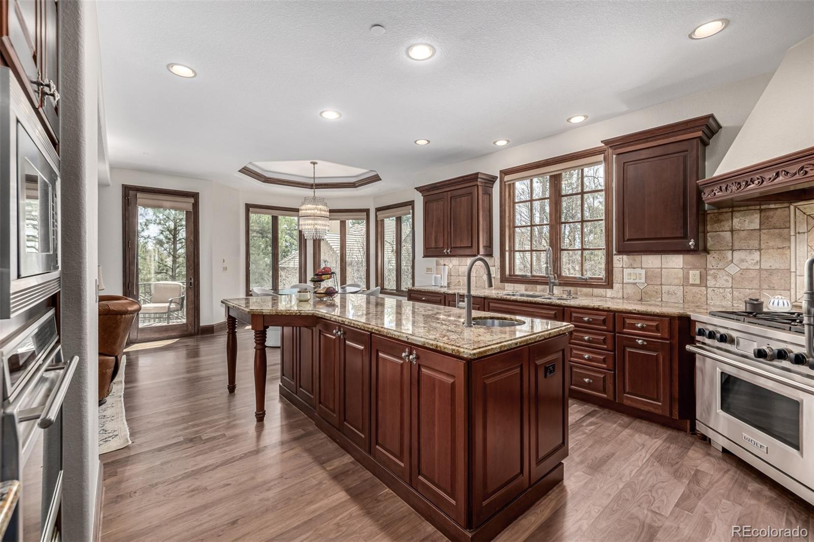 MLS Image #9 for 648  ruby trust drive,castle rock, Colorado