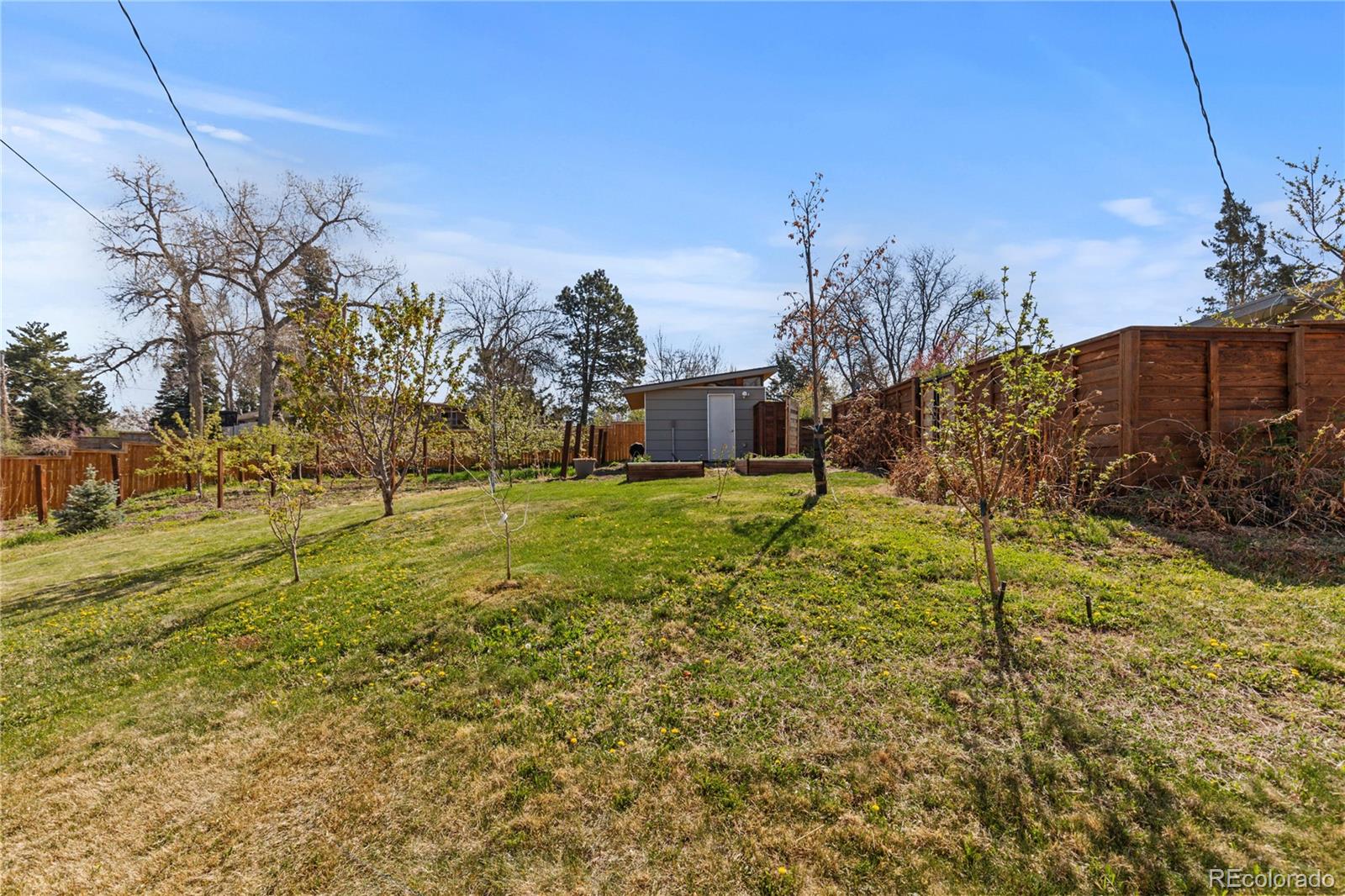 MLS Image #38 for 3035 e maplewood avenue,centennial, Colorado