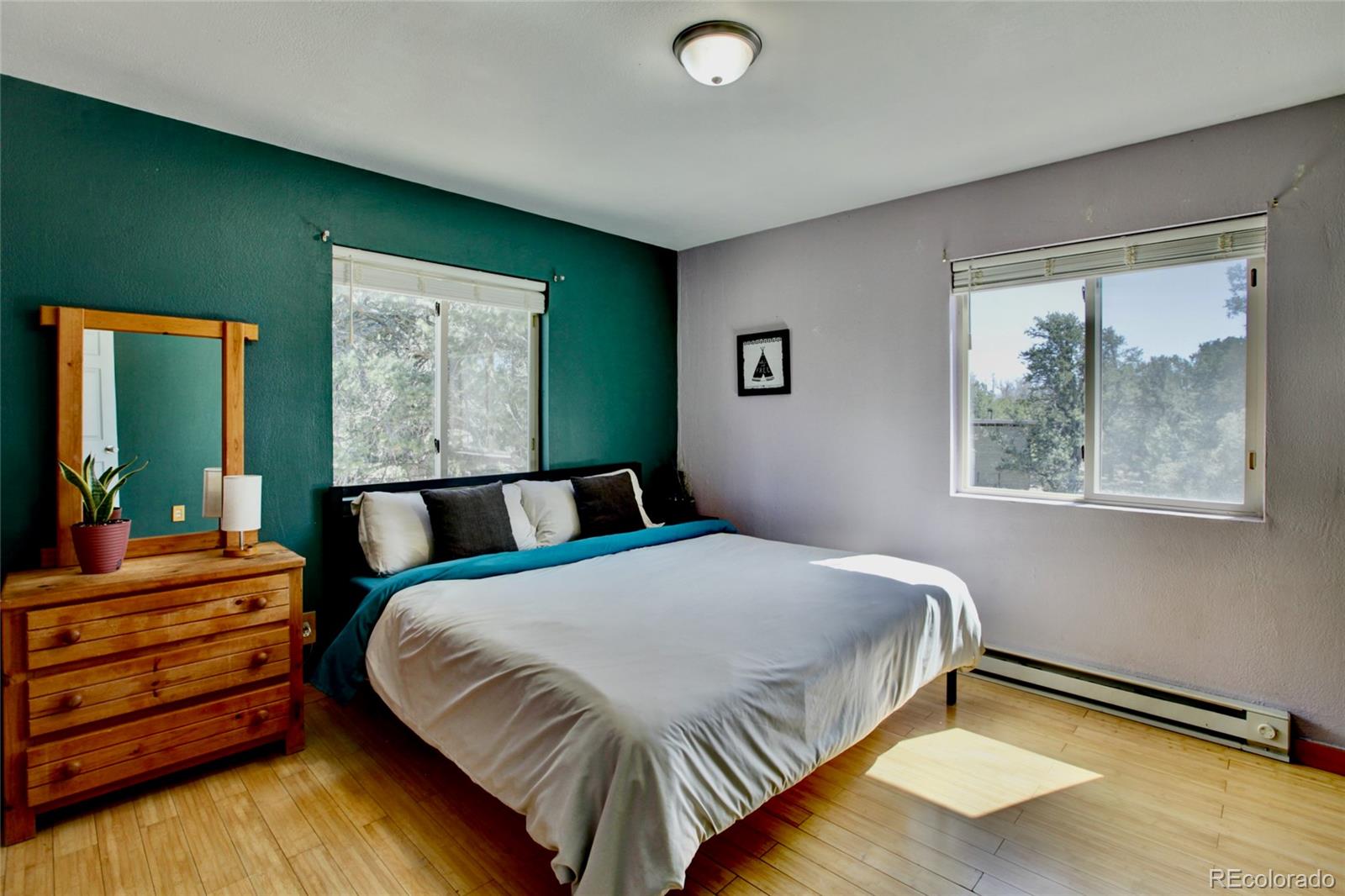 MLS Image #10 for 2210  lone pine ,crestone, Colorado