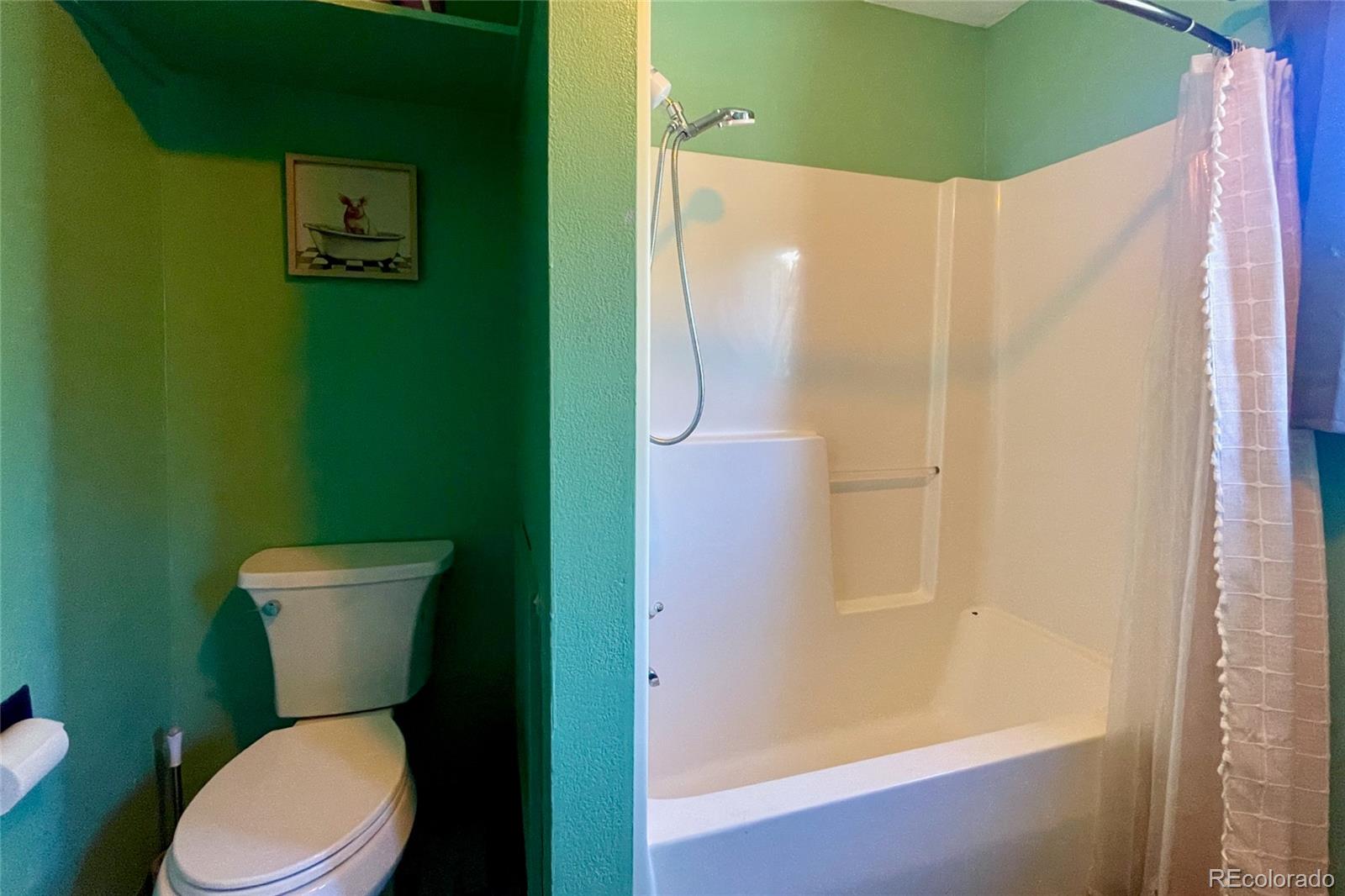 MLS Image #17 for 2210  lone pine ,crestone, Colorado