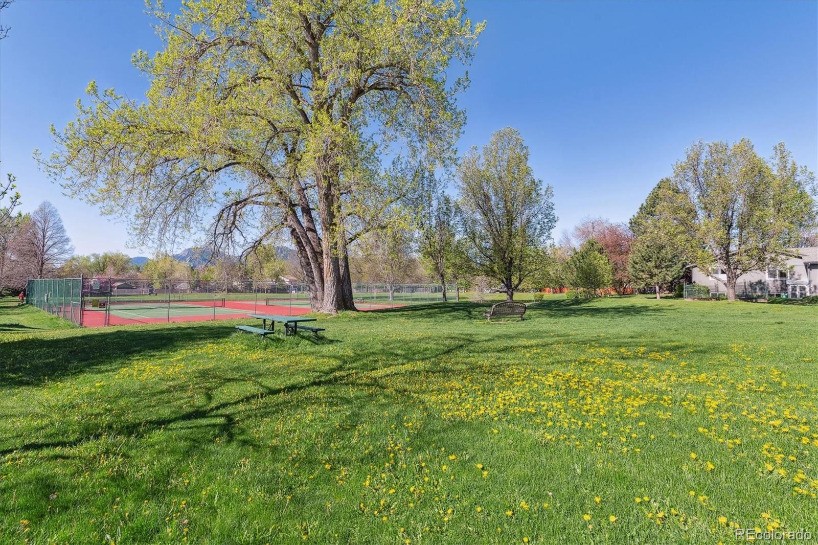MLS Image #41 for 4059  nevis street,boulder, Colorado