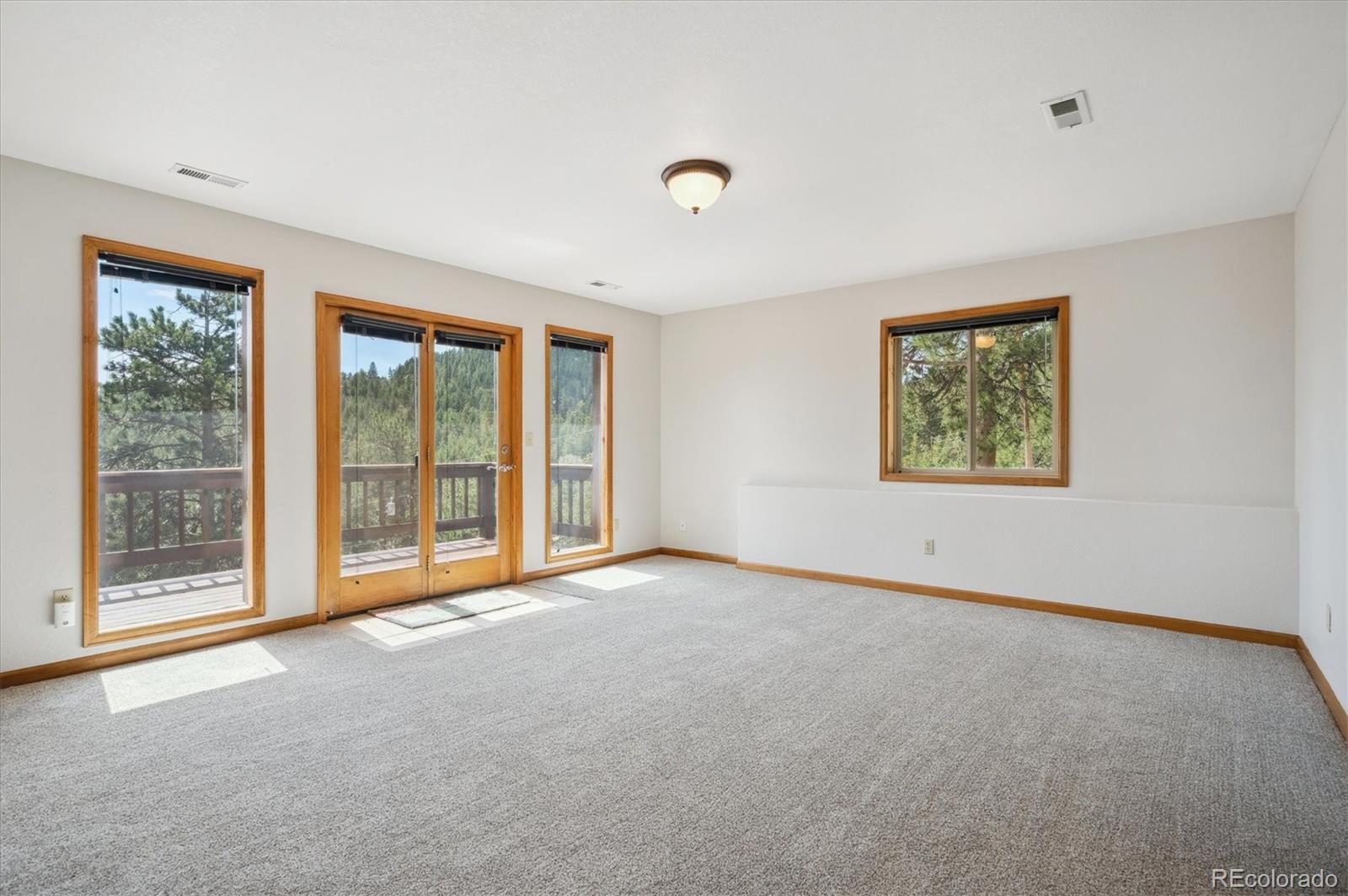 MLS Image #16 for 84  sunny ridge lane,bailey, Colorado