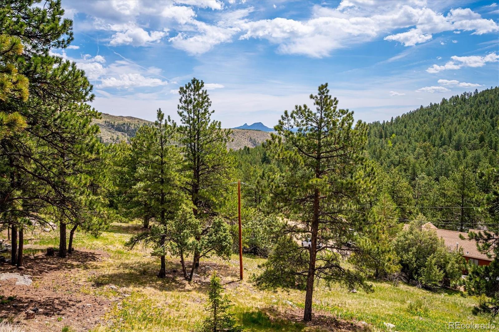MLS Image #23 for 84  sunny ridge lane,bailey, Colorado