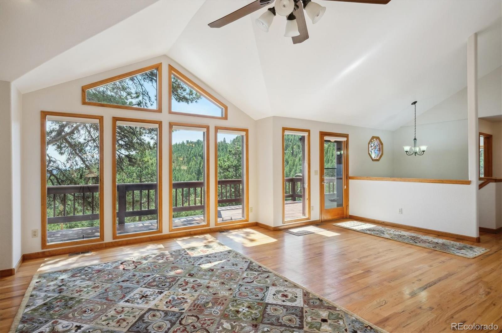 MLS Image #5 for 84  sunny ridge lane,bailey, Colorado