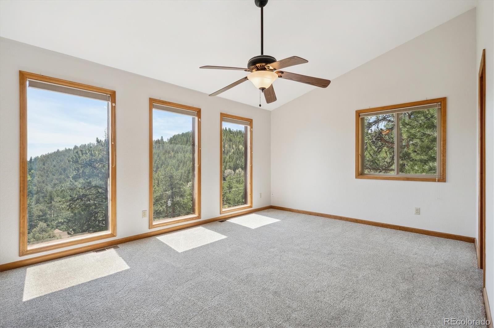 MLS Image #8 for 84  sunny ridge lane,bailey, Colorado