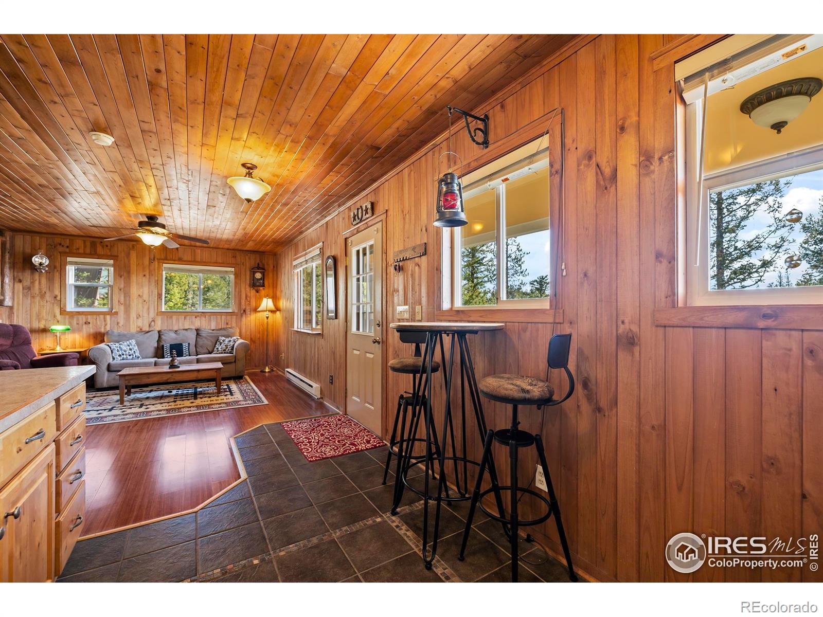 MLS Image #20 for 241  mattapony way,red feather lakes, Colorado