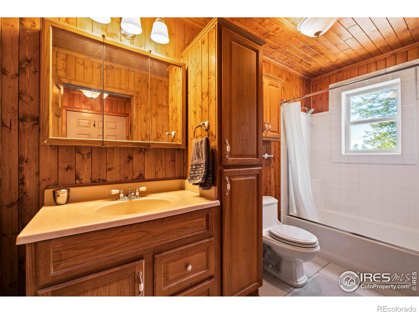 MLS Image #26 for 241  mattapony way,red feather lakes, Colorado
