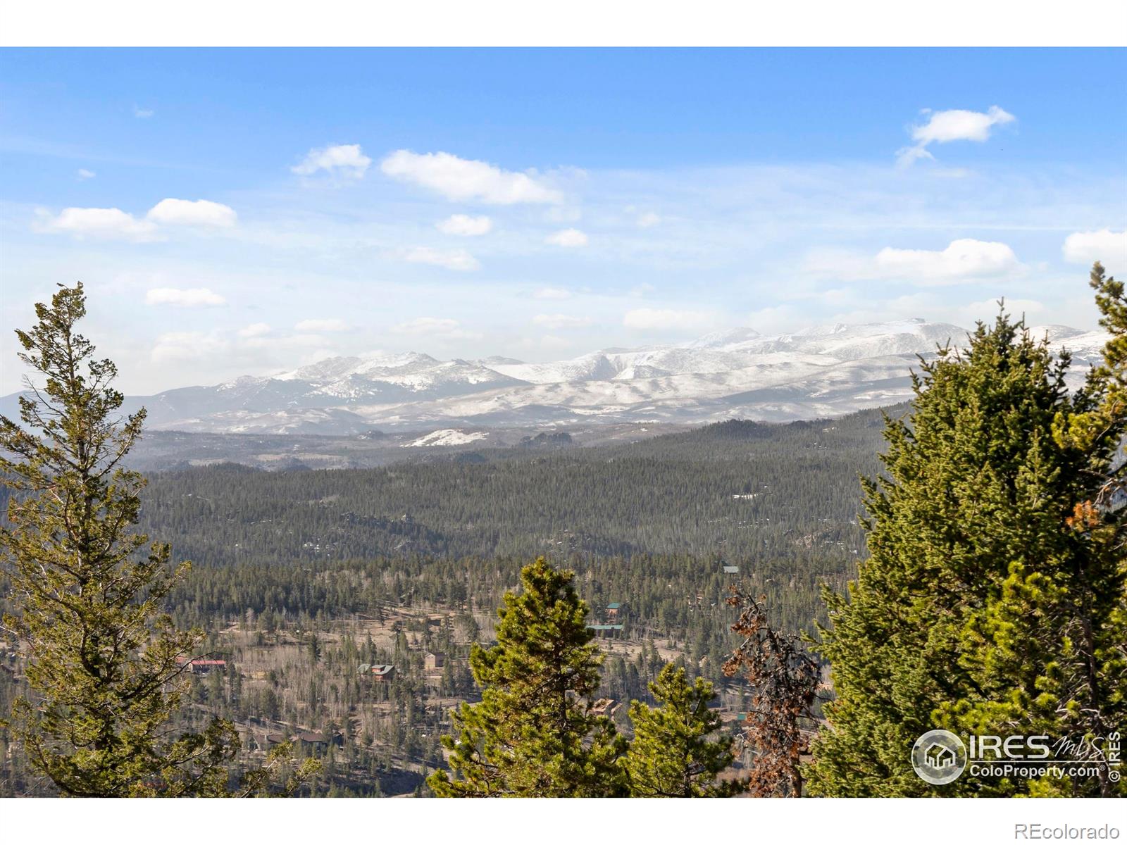 MLS Image #29 for 241  mattapony way,red feather lakes, Colorado