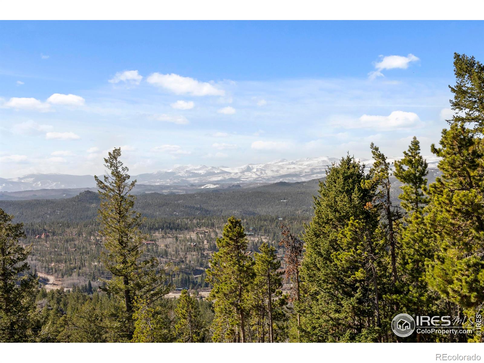 MLS Image #31 for 241  mattapony way,red feather lakes, Colorado