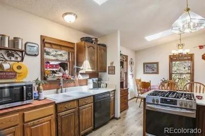MLS Image #13 for 1061  toms ranch road,lake george, Colorado