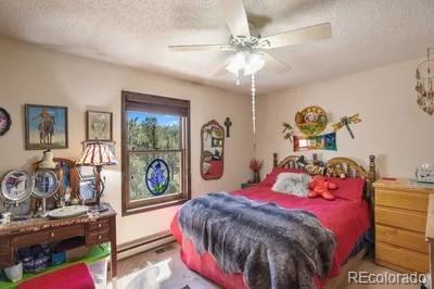 MLS Image #15 for 1061  toms ranch road,lake george, Colorado