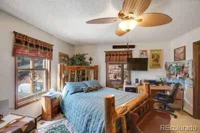 MLS Image #16 for 1061  toms ranch road,lake george, Colorado