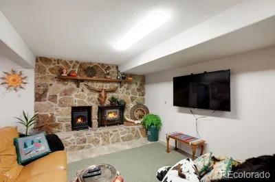 MLS Image #18 for 1061  toms ranch road,lake george, Colorado