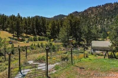 MLS Image #27 for 1061  toms ranch road,lake george, Colorado