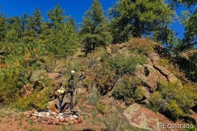 MLS Image #3 for 1061  toms ranch road,lake george, Colorado