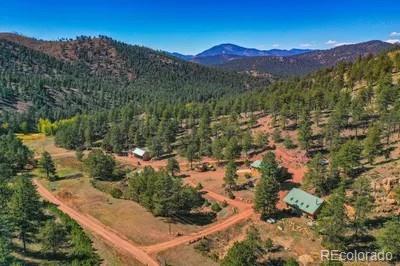 MLS Image #5 for 1061  toms ranch road,lake george, Colorado