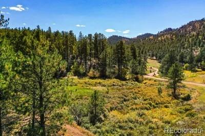 MLS Image #7 for 1061  toms ranch road,lake george, Colorado