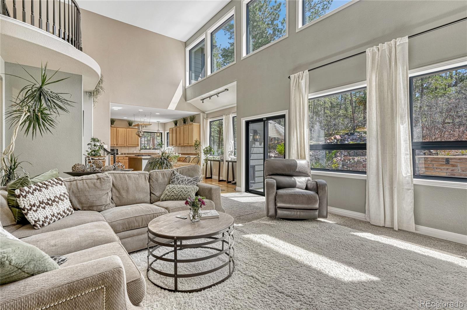 MLS Image #12 for 1410  old sequoia court,franktown, Colorado