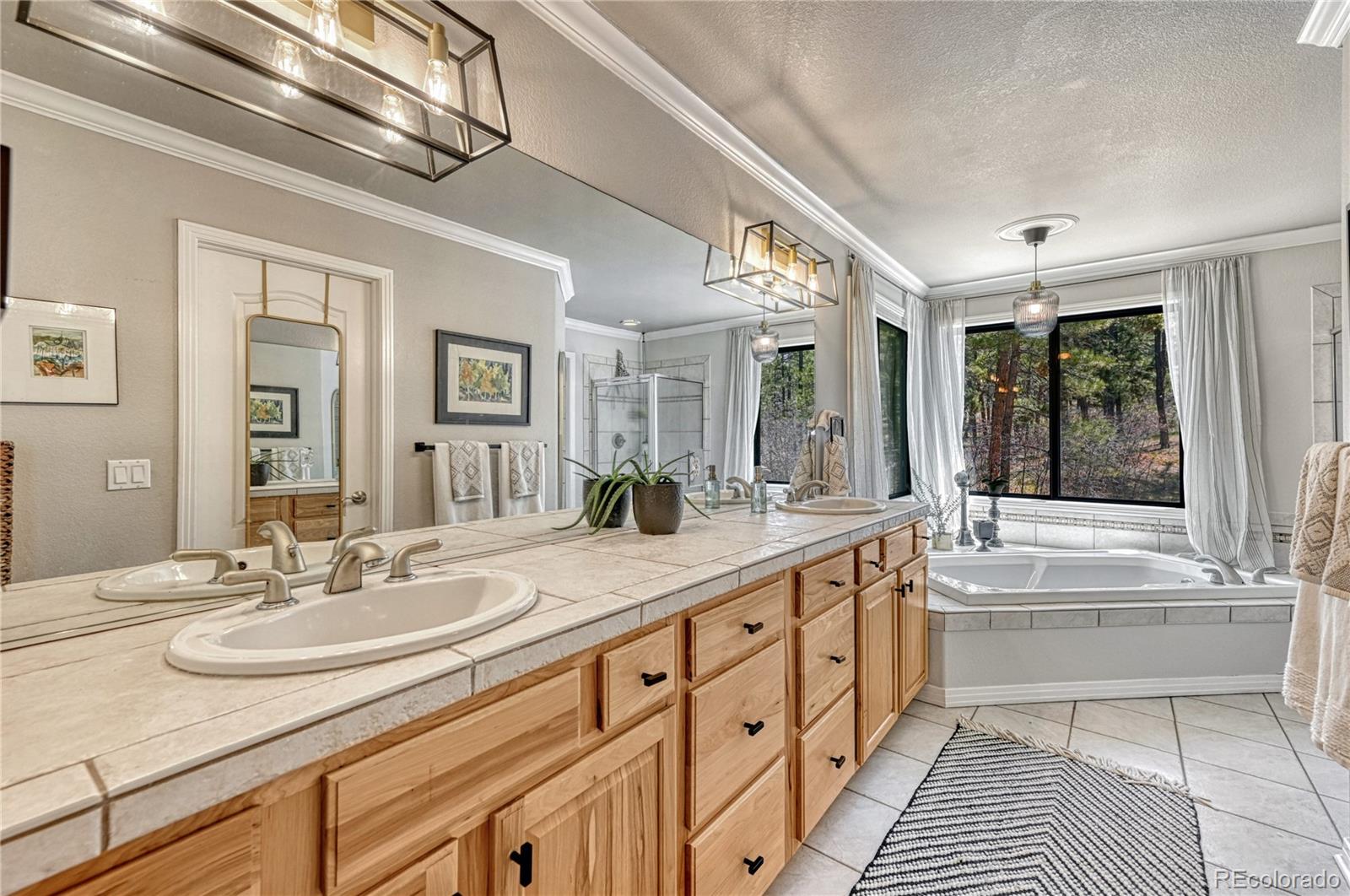MLS Image #22 for 1410  old sequoia court,franktown, Colorado