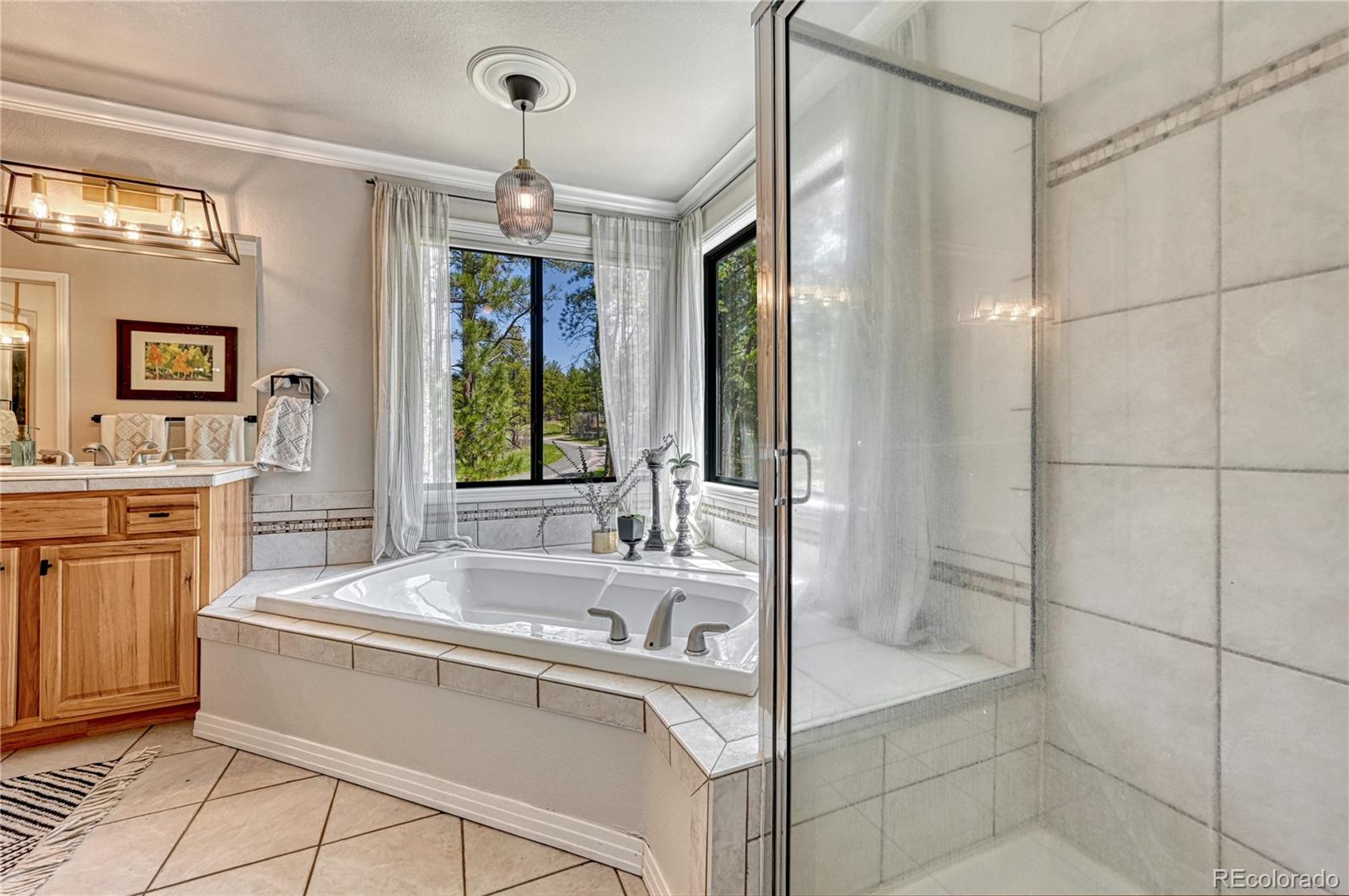 MLS Image #23 for 1410  old sequoia court,franktown, Colorado