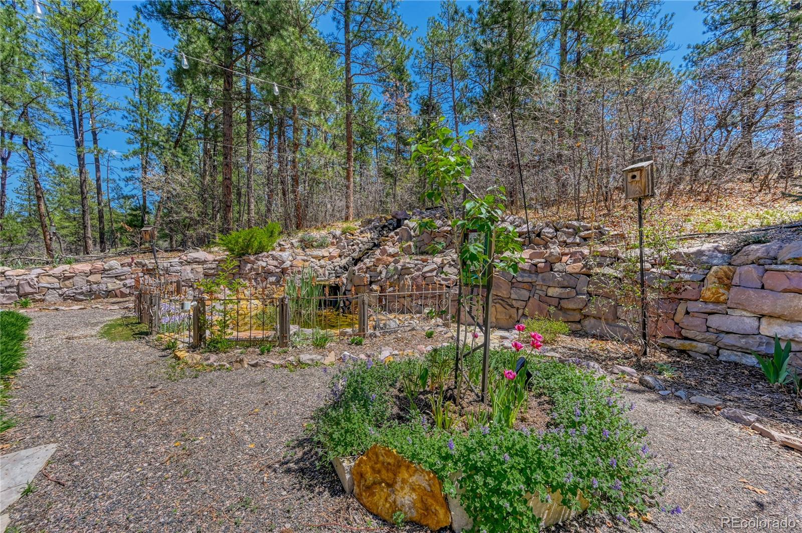 MLS Image #42 for 1410  old sequoia court,franktown, Colorado