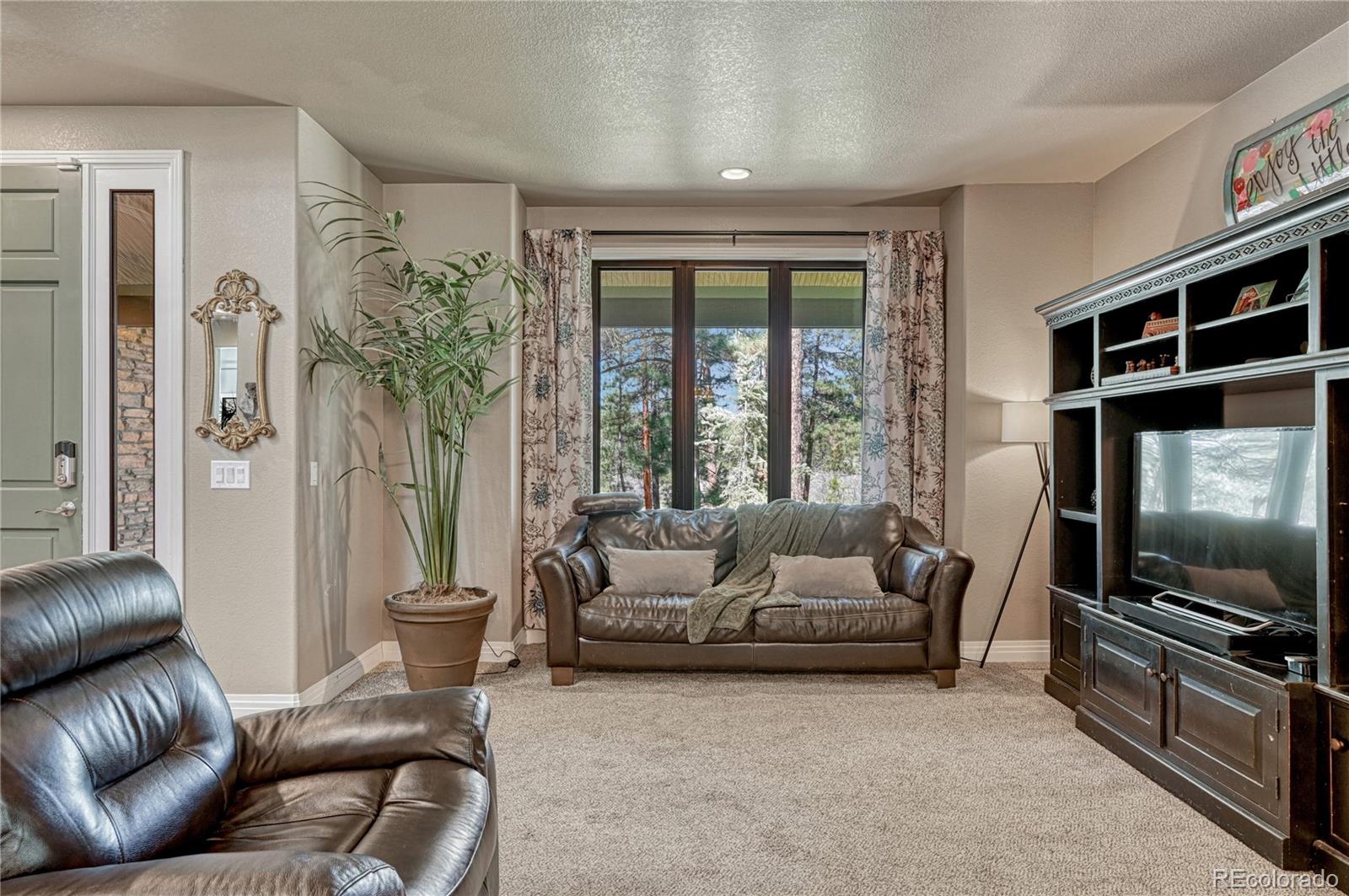 MLS Image #6 for 1410  old sequoia court,franktown, Colorado