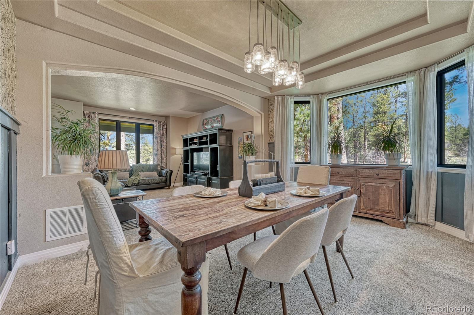 MLS Image #7 for 1410  old sequoia court,franktown, Colorado