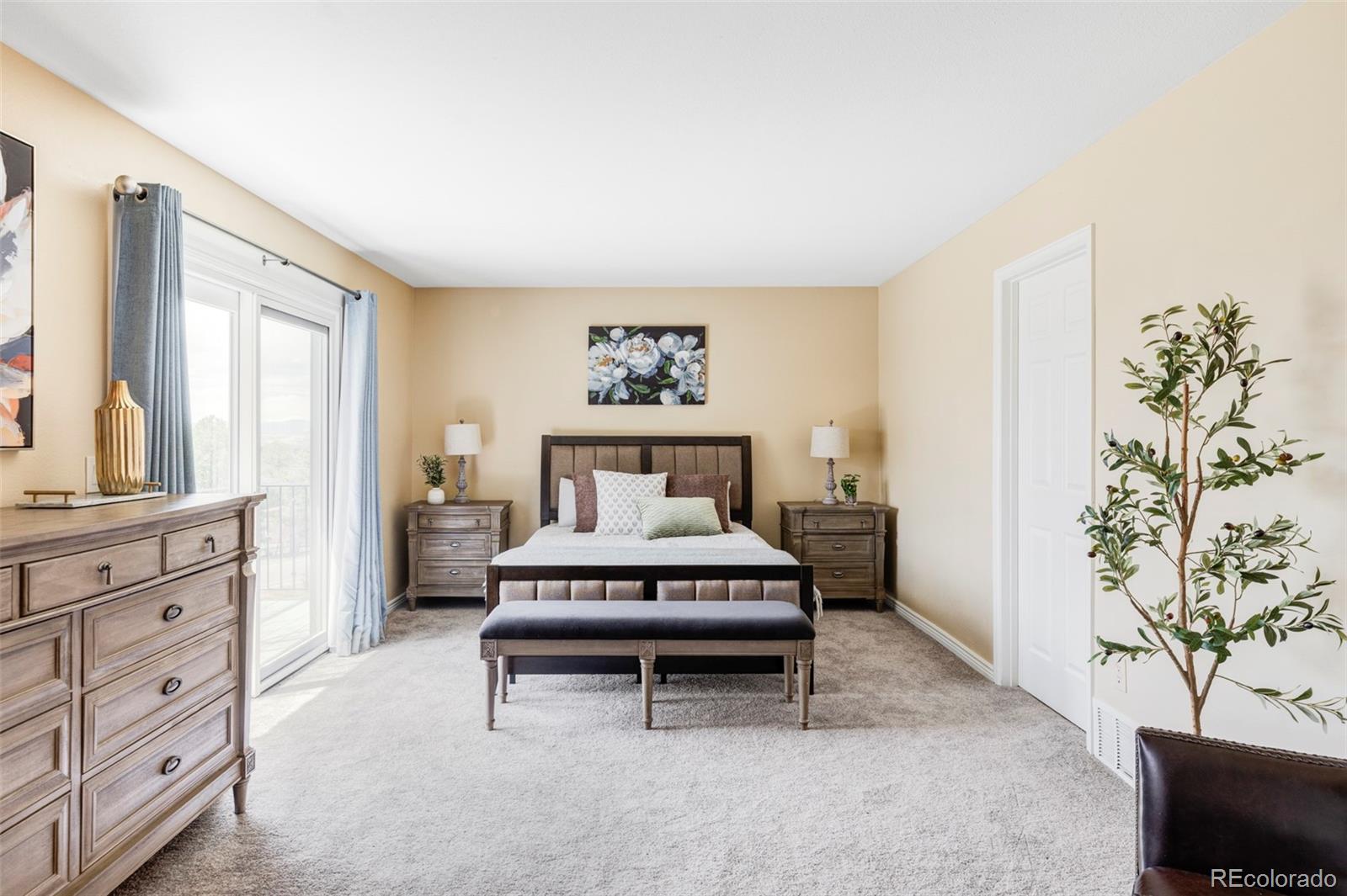 MLS Image #15 for 8687 n pinery parkway,parker, Colorado