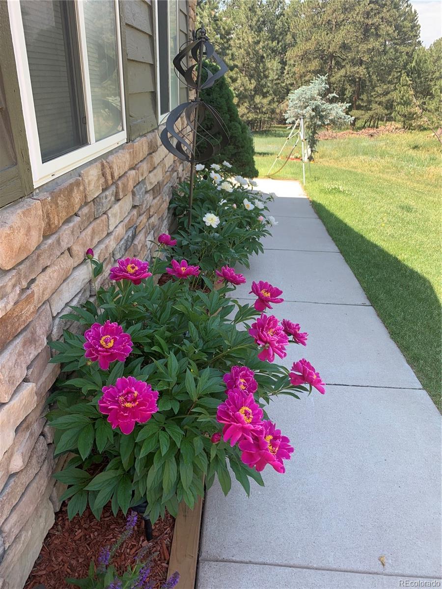 MLS Image #33 for 35550  running brook lane,elizabeth, Colorado