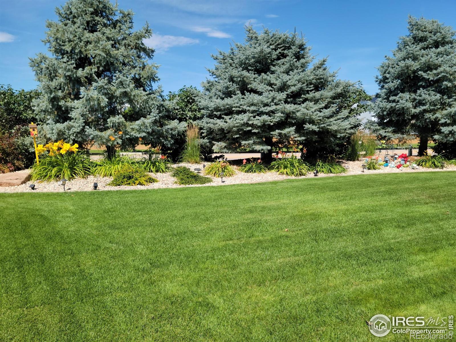 MLS Image #31 for 632  yukon court,windsor, Colorado