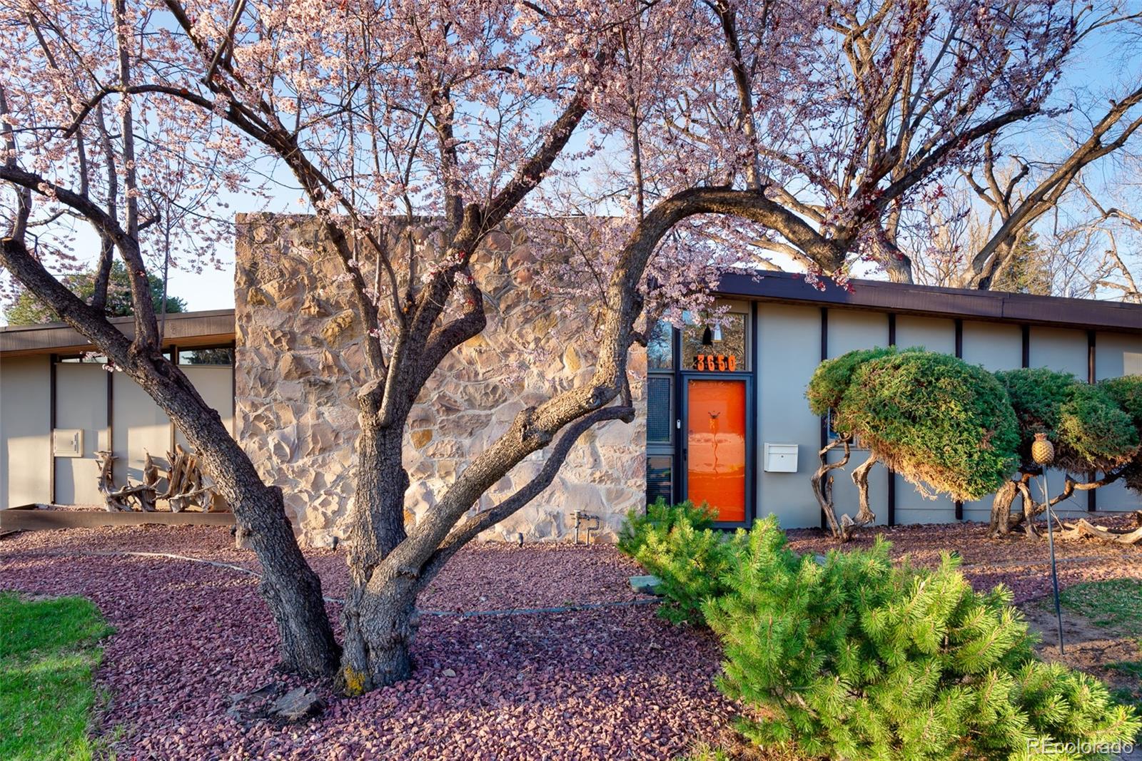 MLS Image #39 for 3650  chimayo road,littleton, Colorado