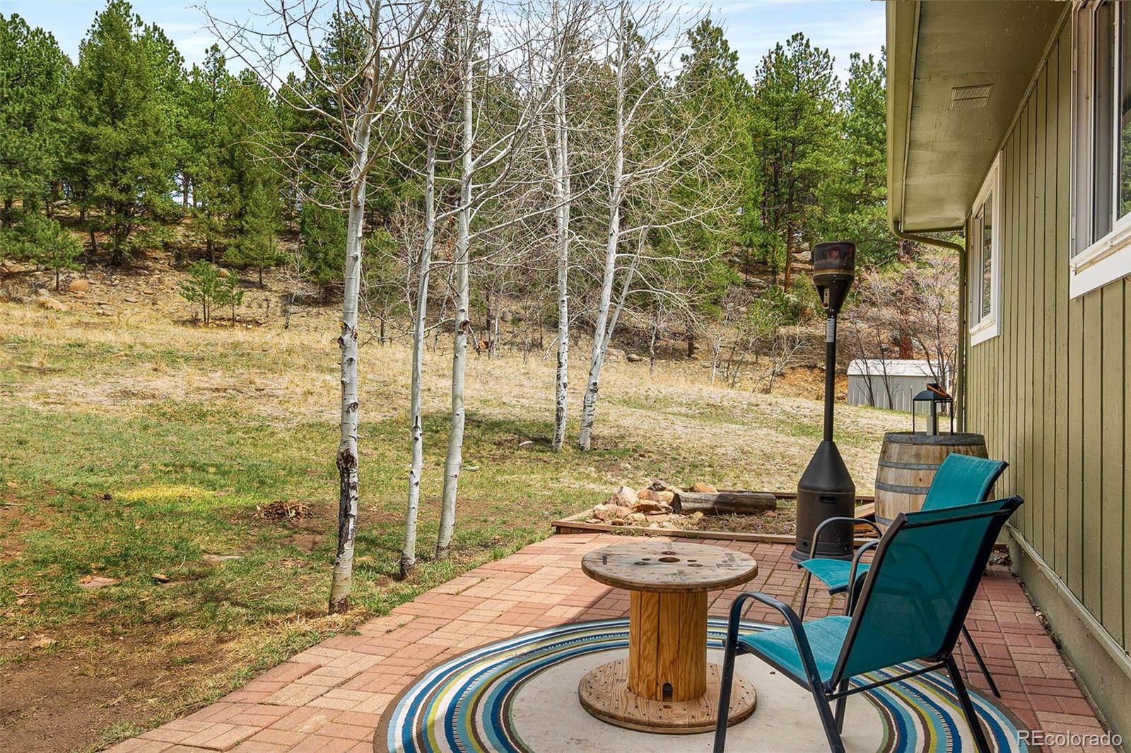 MLS Image #12 for 283  brookside drive,bailey, Colorado