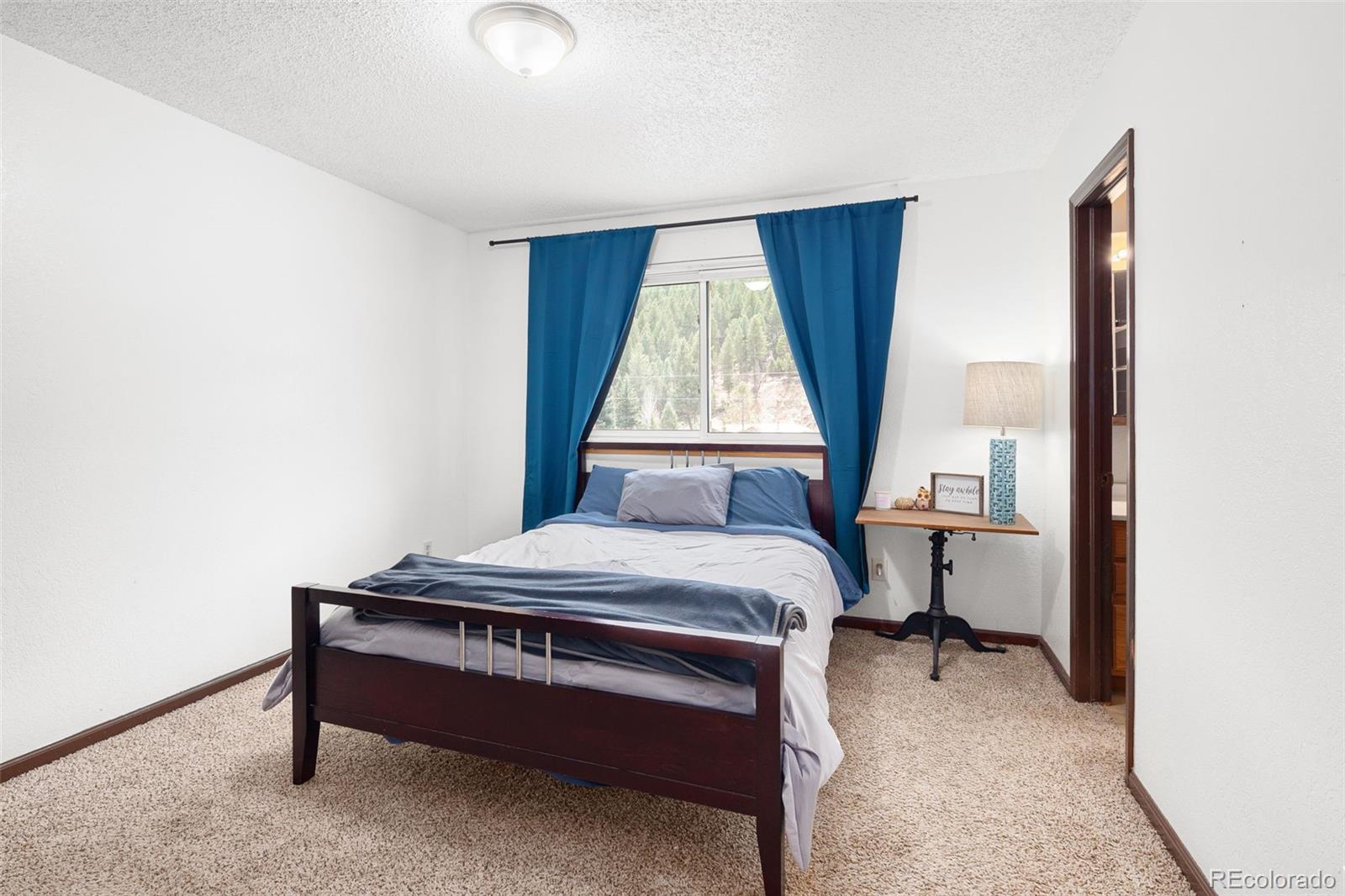 MLS Image #14 for 283  brookside drive,bailey, Colorado