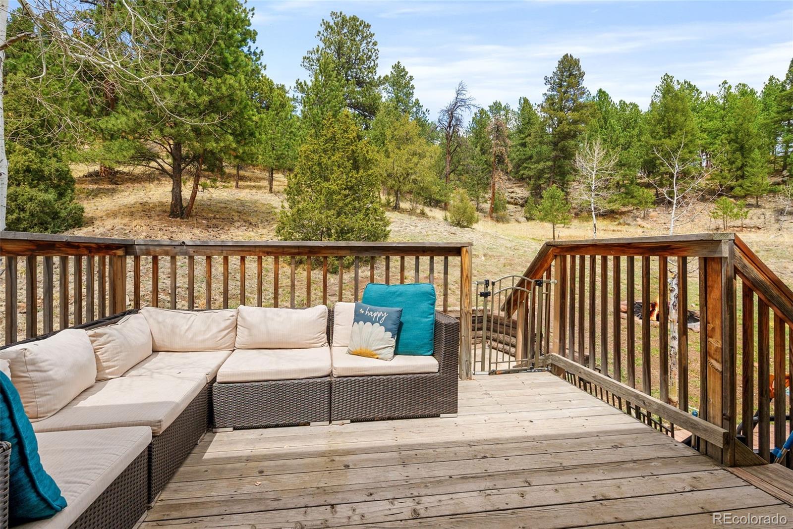 MLS Image #15 for 283  brookside drive,bailey, Colorado