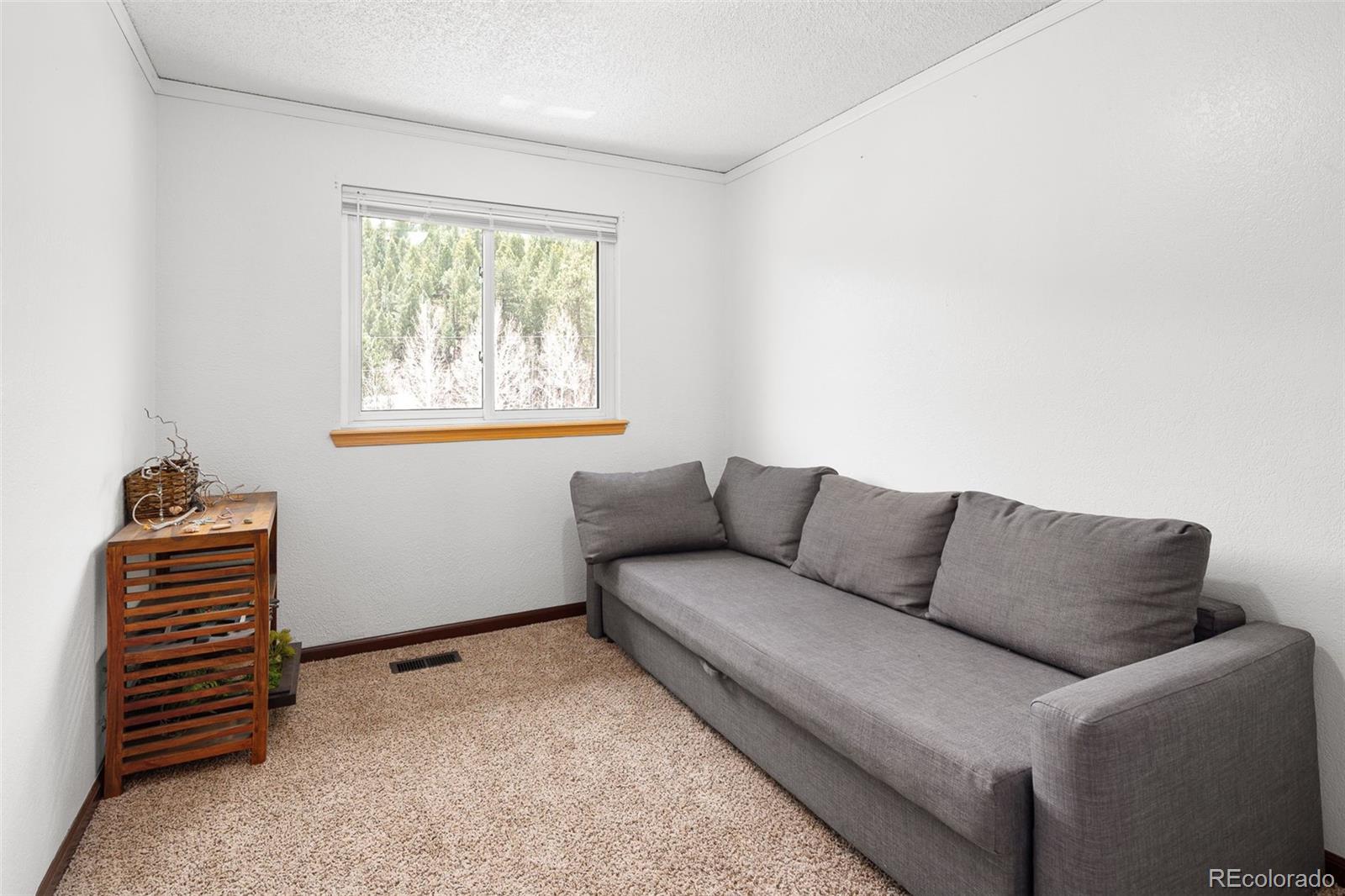 MLS Image #18 for 283  brookside drive,bailey, Colorado