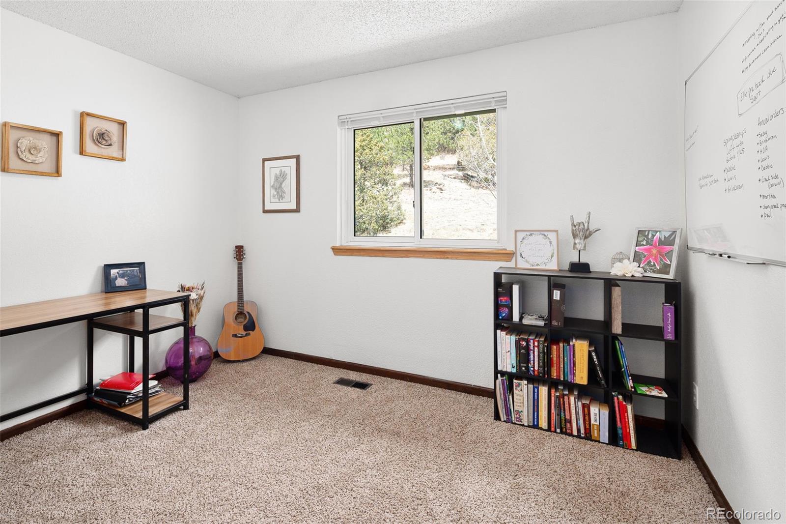 MLS Image #19 for 283  brookside drive,bailey, Colorado