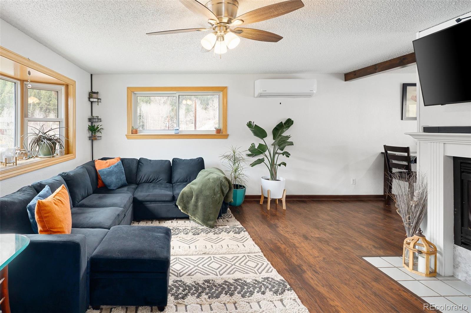 MLS Image #5 for 283  brookside drive,bailey, Colorado