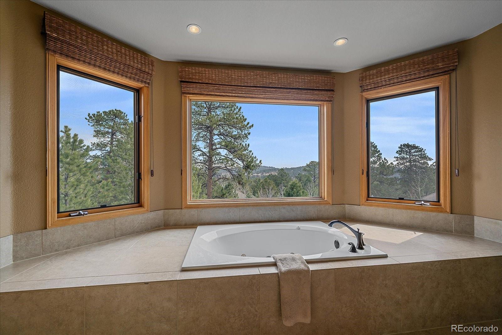 MLS Image #25 for 1456  shavano court,evergreen, Colorado