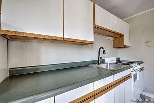 MLS Image #9 for 214 n main street,breckenridge, Colorado