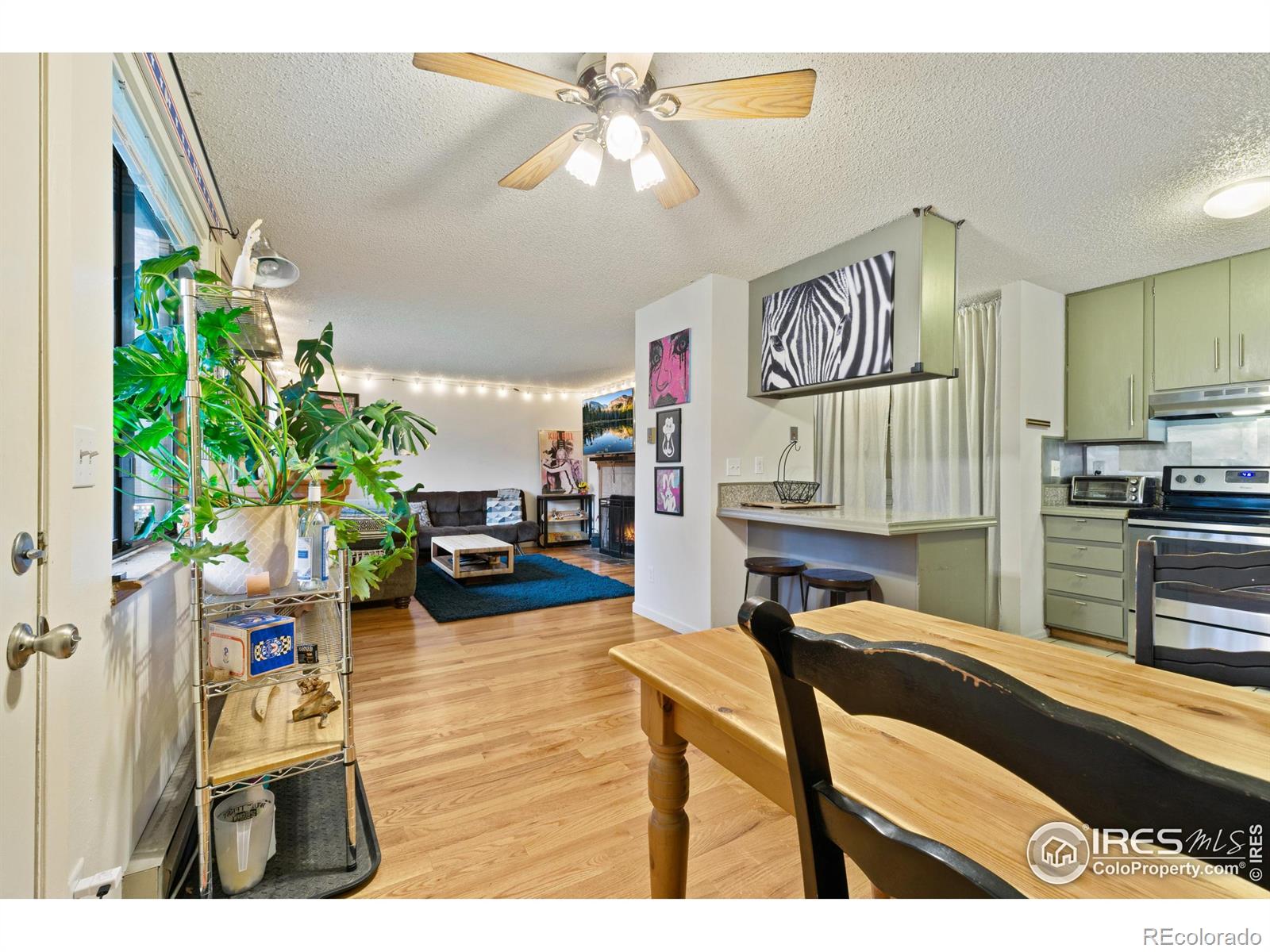 MLS Image #10 for 925  columbia road,fort collins, Colorado