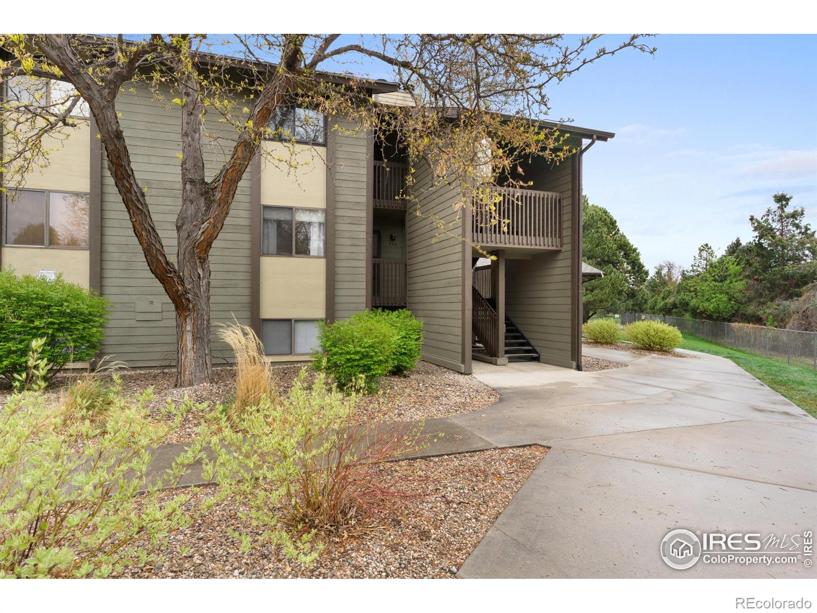MLS Image #3 for 925  columbia road,fort collins, Colorado