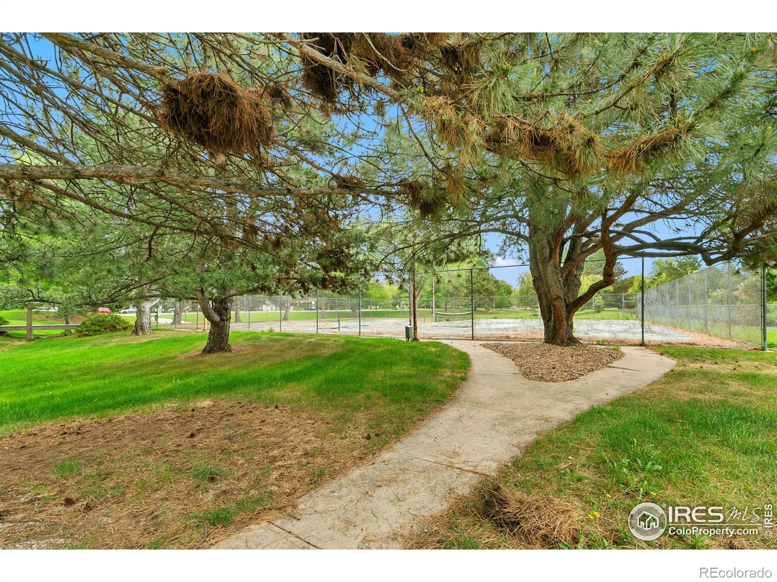 MLS Image #6 for 925  columbia road,fort collins, Colorado