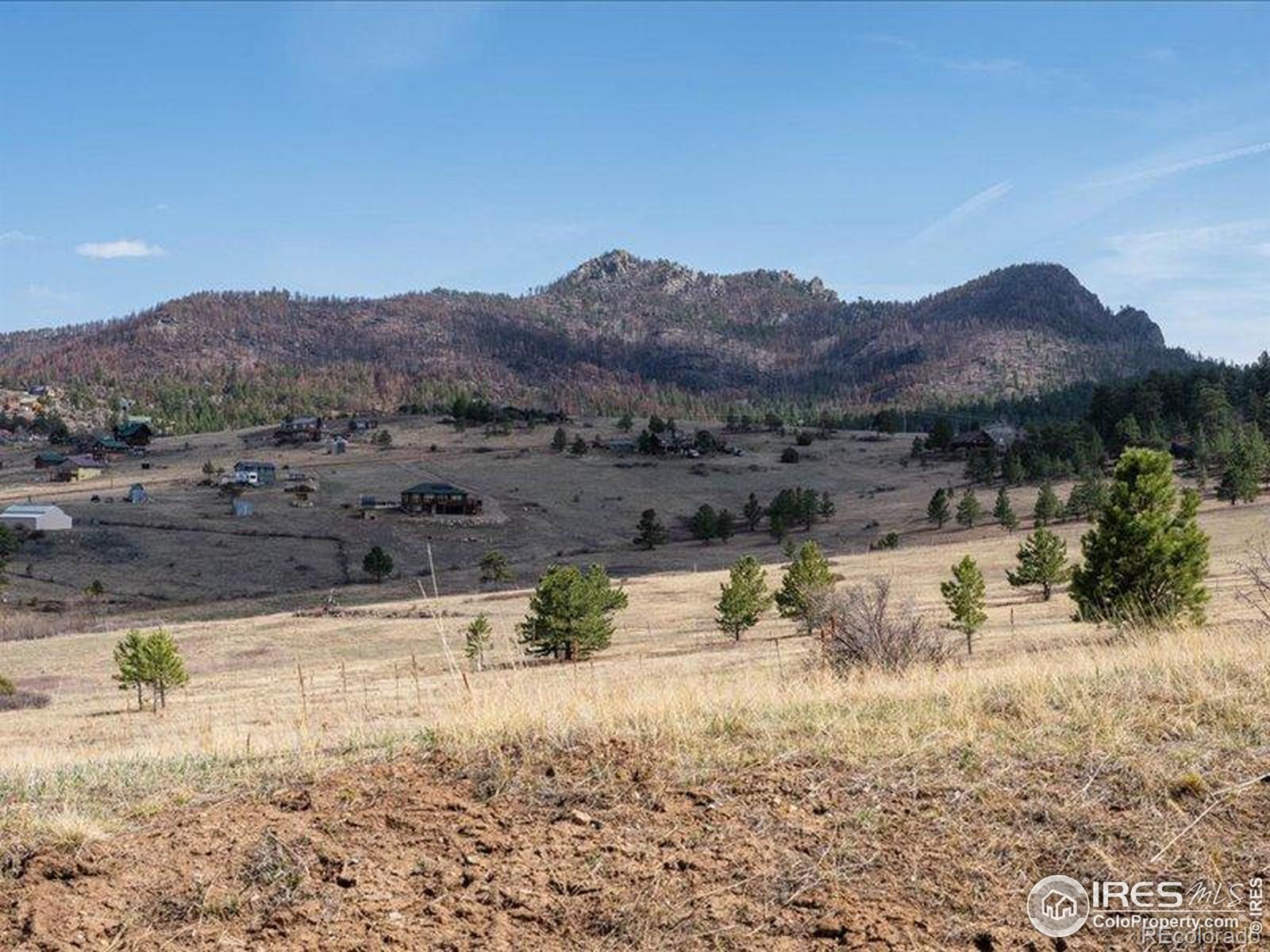 MLS Image #4 for 102  spruce mountain drive,drake, Colorado