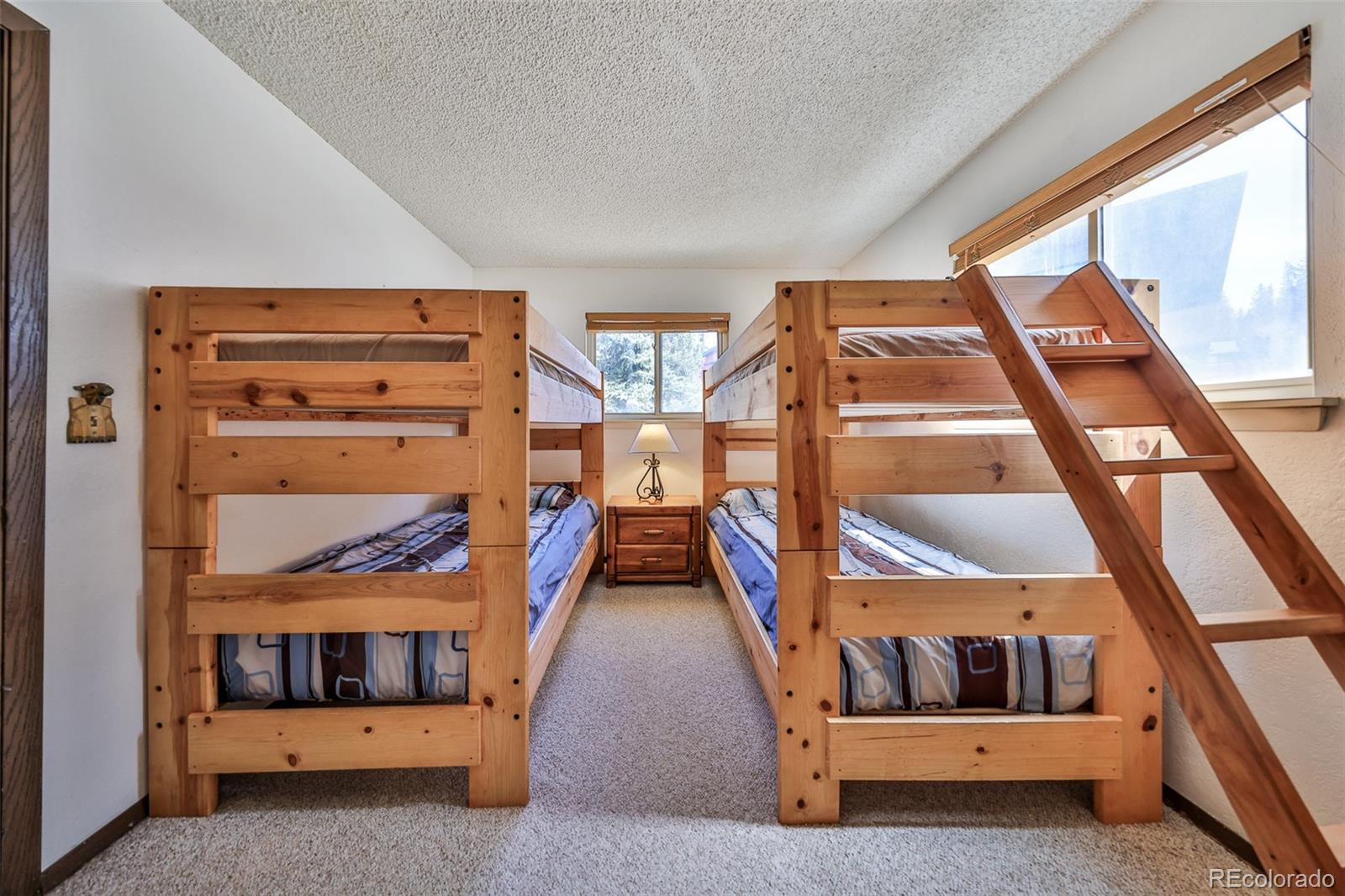 MLS Image #18 for 357  hi country drive,winter park, Colorado