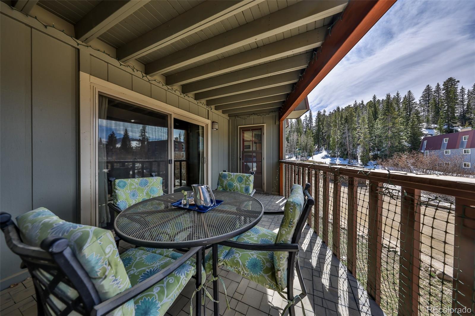 MLS Image #26 for 357  hi country drive,winter park, Colorado