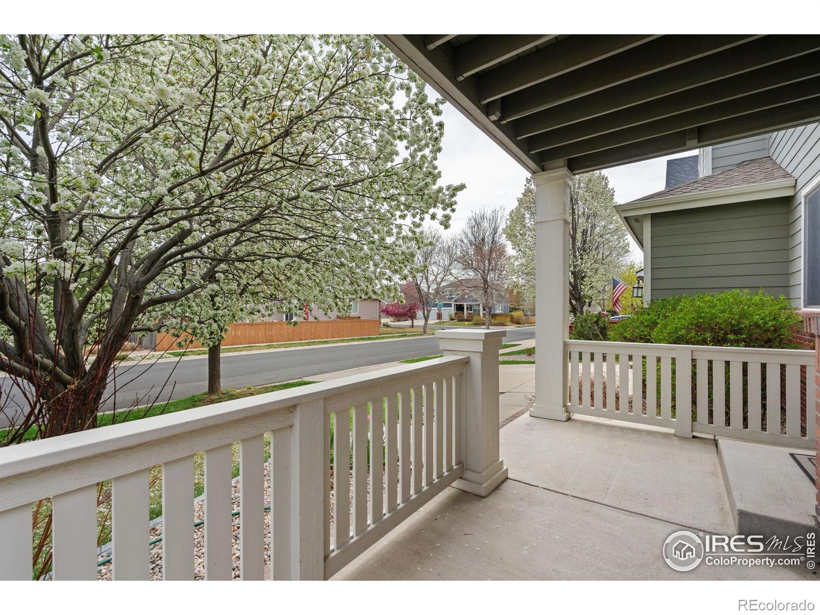 MLS Image #2 for 6309  carmichael street,fort collins, Colorado