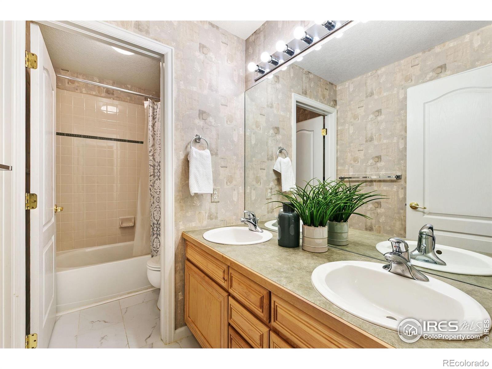 MLS Image #21 for 6309  carmichael street,fort collins, Colorado