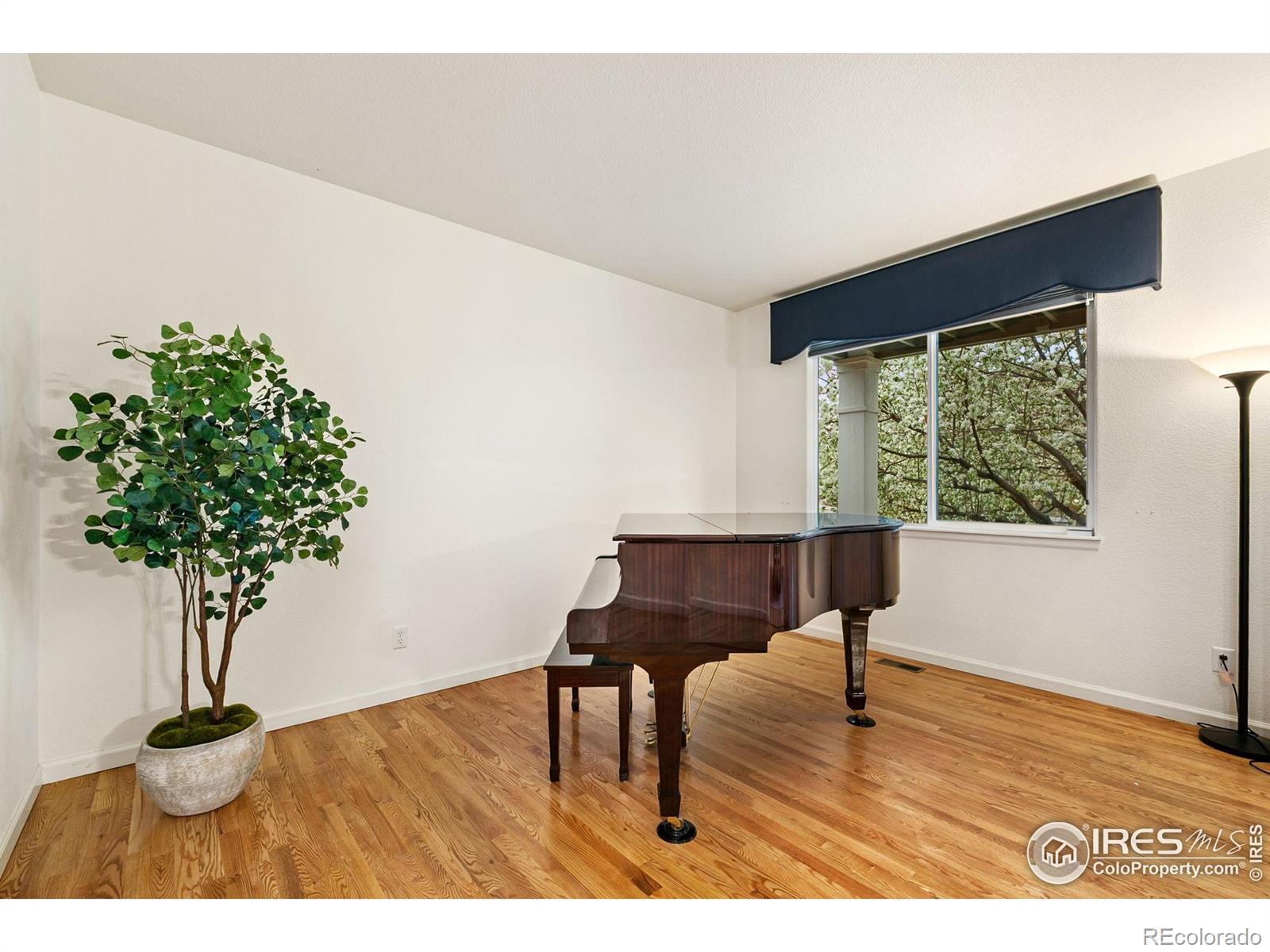 MLS Image #3 for 6309  carmichael street,fort collins, Colorado